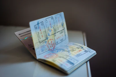 Visa Processing Service